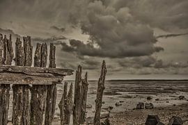 Het wad bij peassens moddergat by anne droogsma