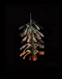 Die Geweihten II von Marianna Geraci