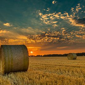 Strorollen in een gedorst graanveld bij zonsondergang van Fred van Bergeijk