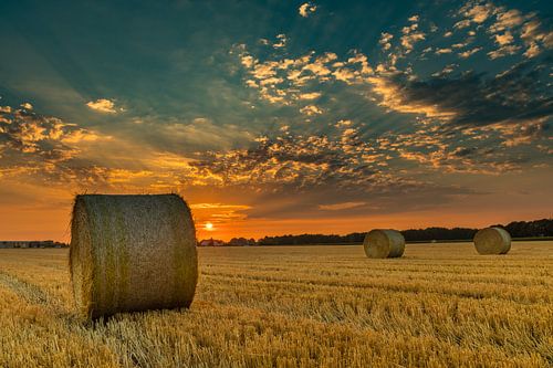 Strorollen in een gedorst graanveld bij zonsondergang
