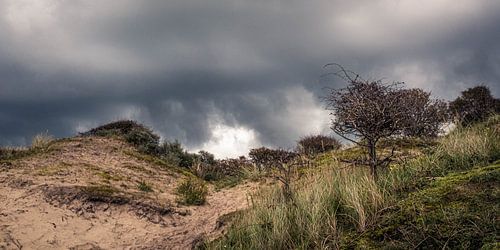 Duinpan in de regenwolken