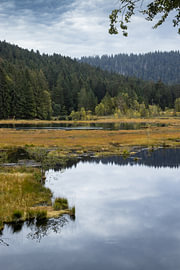 Lac de Lispach: Autumn in the Vosges
