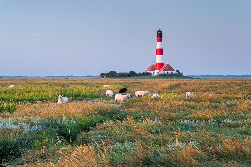 Westerhever I von Rainer Mirau
