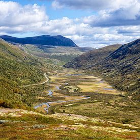 Entlang des Grimsdalvegen von Hanneke Luit