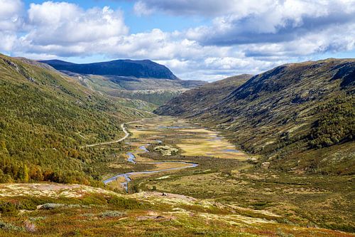 Entlang des Grimsdalvegen von Hanneke Luit