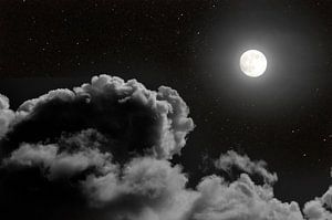 A la pleine lune II sur Corinne Welp