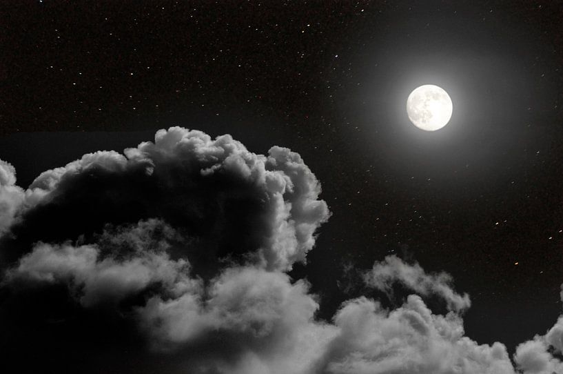 Bei Vollmond II von Corinne Welp