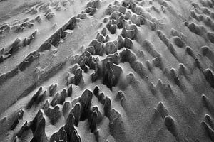 Bergjes op het strand - Natuurlijk Ameland van Anja Brouwer Fotografie