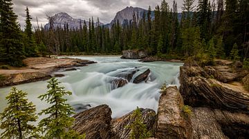 De Kicking Horse rivier in Canada van Roland Brack