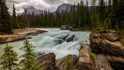 De Kicking Horse rivier in Canada