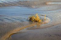 Leegstromend wad op Ameland