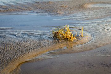 Deflating waddenzee near Ameland