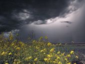 Onweer in de Hollandse polder van Charles Braam thumbnail