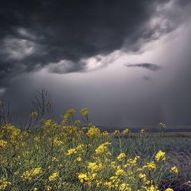Onweer in de Hollandse polder van Charles Braam