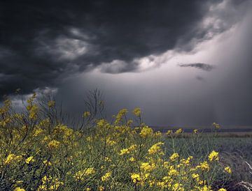 Gewitter im niederländischen Polder von Charles Braam