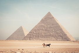 The Lone Horseman – Horse and Chariot at the Egyptian Pyramids by Milene van Arendonk