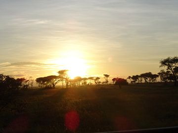 Tanzania safari by Mandy van der Doelen