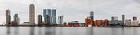 Panorama Kop van Zuid