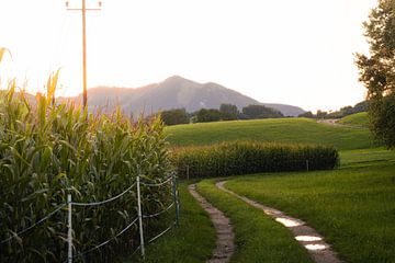 Coucher de soleil par une chaude nuit d'été sur Gabriella Fodor