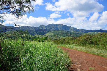 Towards the mountains by Frank's Awesome Travels