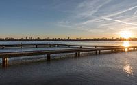 De zonsondergang bij de Kralingse Plas in Rotterdam van MS Fotografie | Marc van der Stelt thumbnail