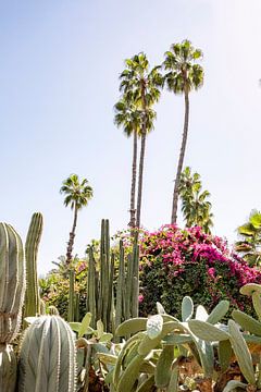Cactussen, bloemen en palmbomen in Marrakesh van Evelien Oerlemans