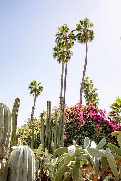 Cactus, fleurs et palmiers à Marrakech par Evelien Oerlemans