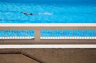 Swimming pool in France von Daan Ruijter Miniaturansicht