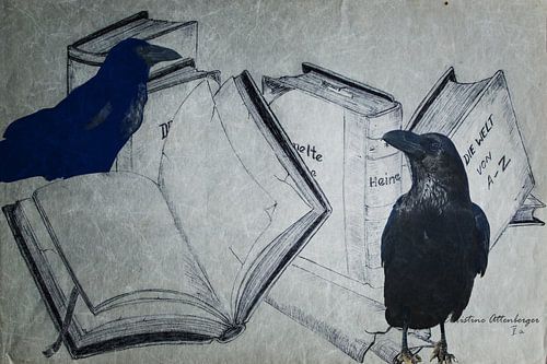 De lezende raven