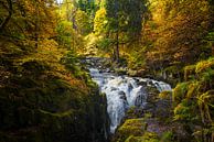 De Hermitage, Dunkeld, Schotland van Pascal Raymond Dorland thumbnail