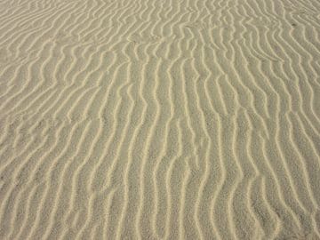 Wind effect on sand sur Suzanne de Jong