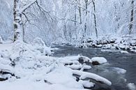 Winter landschap van Ingrid Van Damme fotografie thumbnail