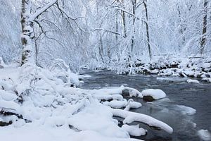 Winter landschap sur Ingrid Van Damme fotografie