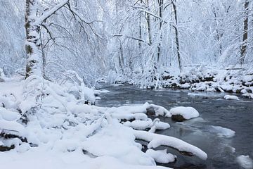 Winter landschap van Ingrid Van Damme fotografie