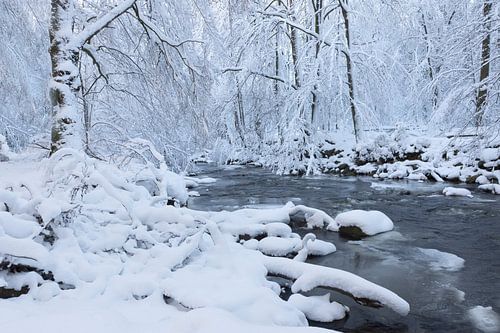 Winter landschap