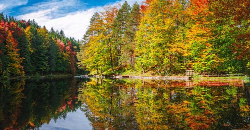 Herfst aan het meer met bos