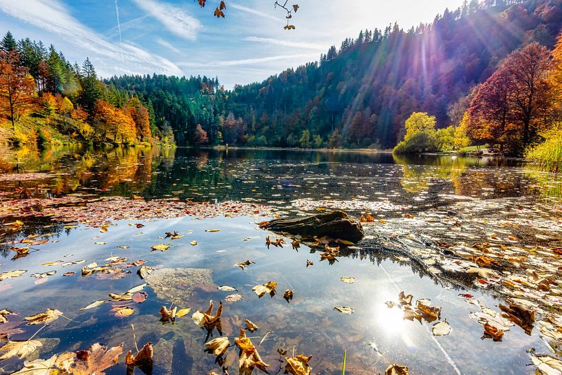 Autumn colors at a lake in the Black Forest by Hans-Bernd Lichtblau