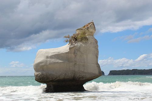 Cathedral Cove New Zealand