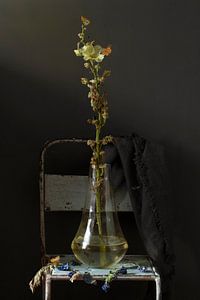 Stilleben 'Stockrose gelb mit blau'