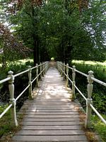 The road to..........  ?