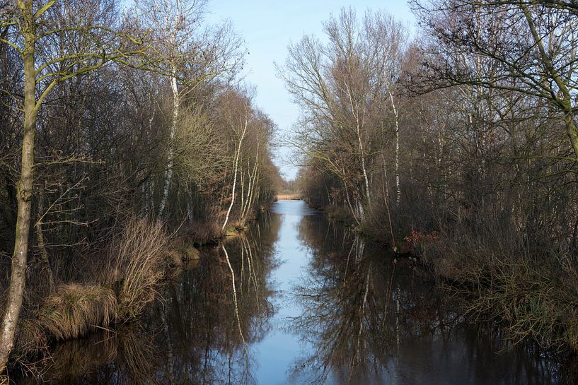 de weerribben van ChrisWillemsen