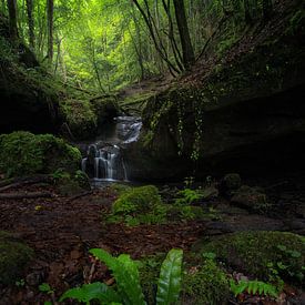 Ein schönes grünes Tal mit einem Wasserfall in Deutschland von Jos Pannekoek
