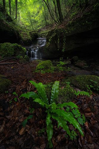 Een mooie groene vallei met een waterval in Duitsland