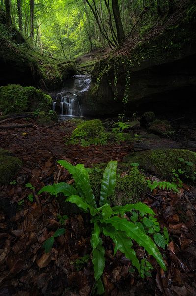 A beautiful green valley with a waterfall in Germany by Jos Pannekoek