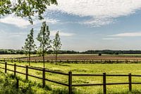 Landscape in Echt-Susteren, Dutch Limburg