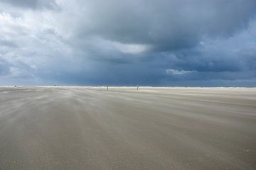 Strand Schouwen Duiveland van Judith Schrijver
