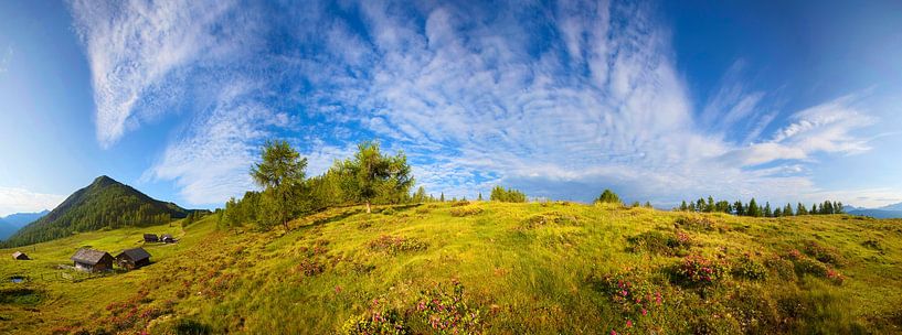 Lackenalm and Lackenkogel by Christa Kramer