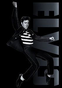 Elvis Presley von Bert Hooijer