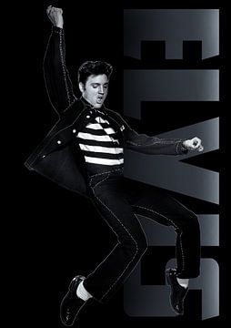 Elvis Presley van Bert Hooijer