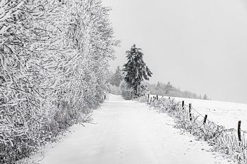 Wintermagie in de Rhön van Holger Spieker